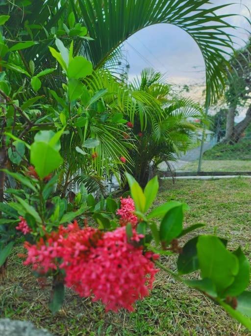 Juju'S Cottage With Magnificent Views Laborie 外观 照片